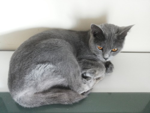 astrid-10.jpg astrid-10.jpg