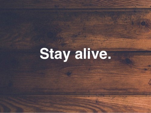 favourite-10-quotes-from-the-hunger-games-4-638.jp