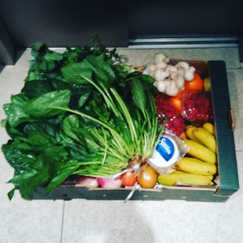 27336678_1034433710029723_4660963573971784237_n.jp 27336678_1034433710029723_4660963573971784237_n.jp