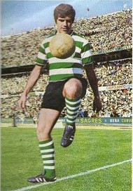 pedro gomes-.JPG pedro gomes-.JPG