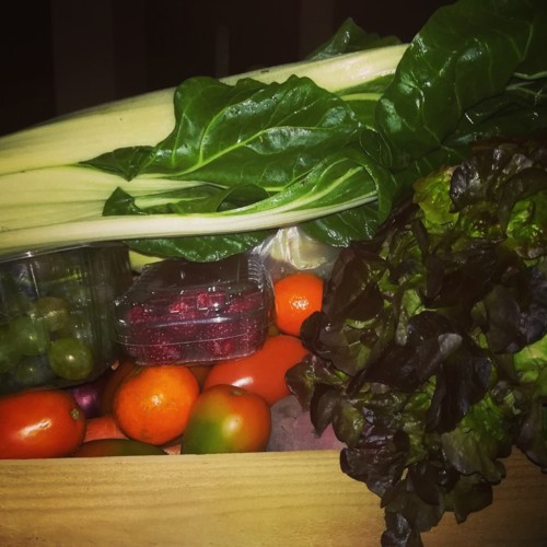 45221523_1236629139810178_8676322692313382912_n.jp