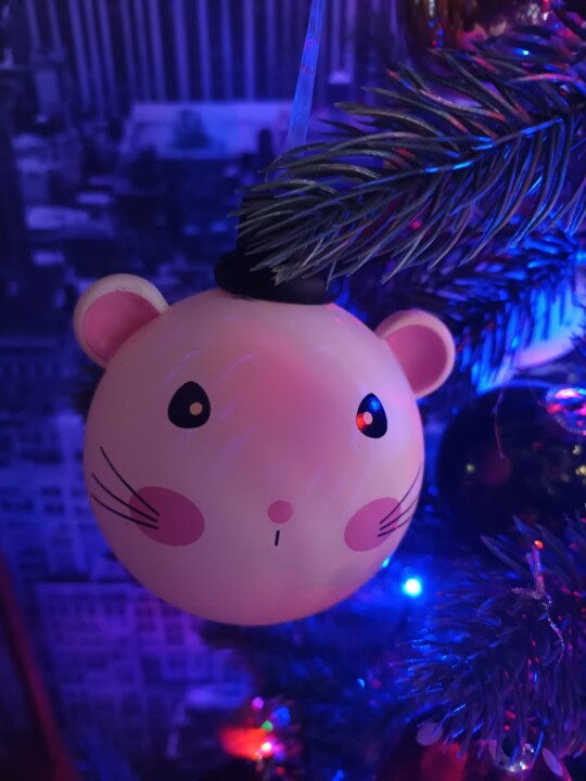 Não me canso disto.jpg