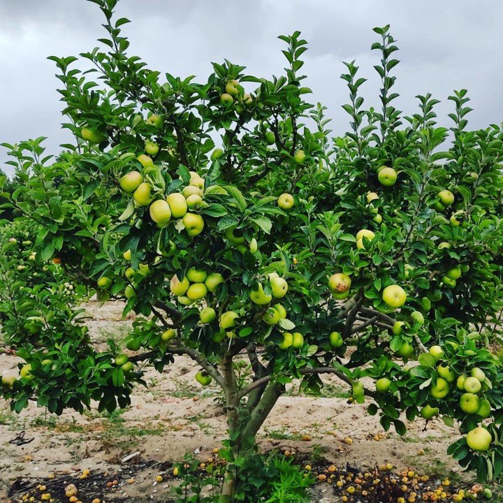 200553287_2048777765261974_8263194740215479737_n.j 200553287_2048777765261974_8263194740215479737_n.j