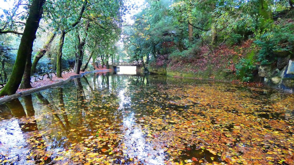 124052666_10218781119374172_2205168041583548763_o.