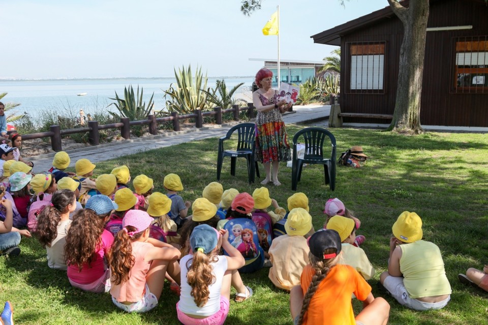 BIBLIOTECA ESTIVAL.jpg