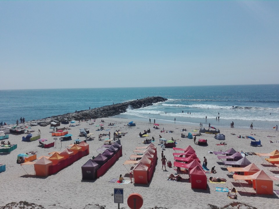 IMG_20200806_173234.jpg IMG_20200806_173234.jpg