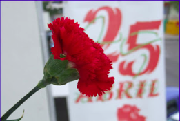 Captura de ecrã 2020-04-23, às 18.41.35.png