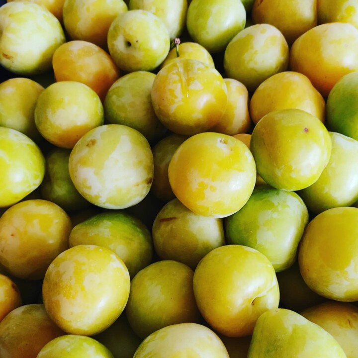 449279112_861898915967520_8220055412510479911_n.jp