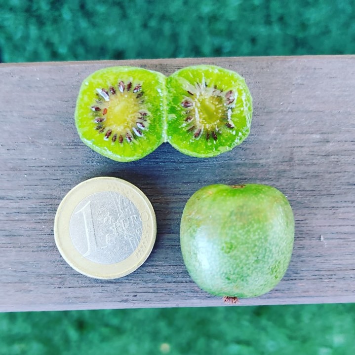 240717181_2104804646325952_6205352076896621370_n.j