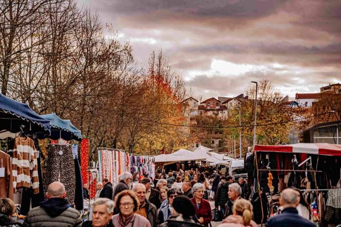 DSC01152 - Cópia.jpg