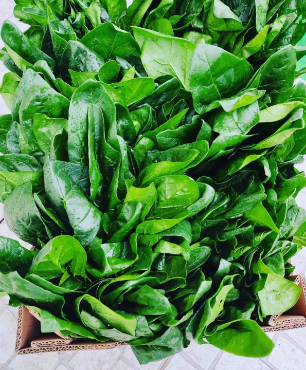 123711261_1863970997075986_4868699531317151967_o.j