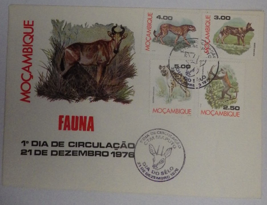 fdc_mocamb_ (3).JPG fdc_mocamb_ (3).JPG