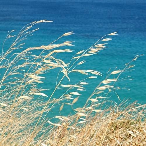 quando chegar ao fim da vida quero poder olhar par