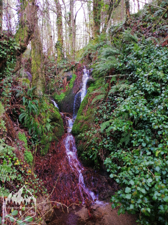 Photo_1582917804229.jpg Photo_1582917804229.jpg