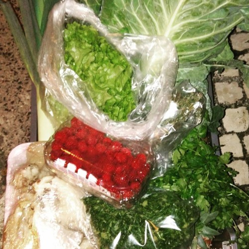 25551921_1013115558828205_7164764769773125104_n.jp