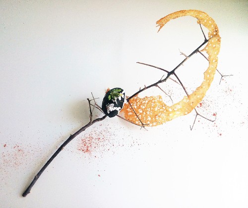 IMG_20160426_150021 (2).jpg IMG_20160426_150021 (2).jpg