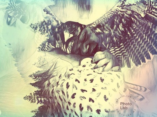 6e3c240e-d056-46f2-8fb1-40e712ef5bbb (1).jpg