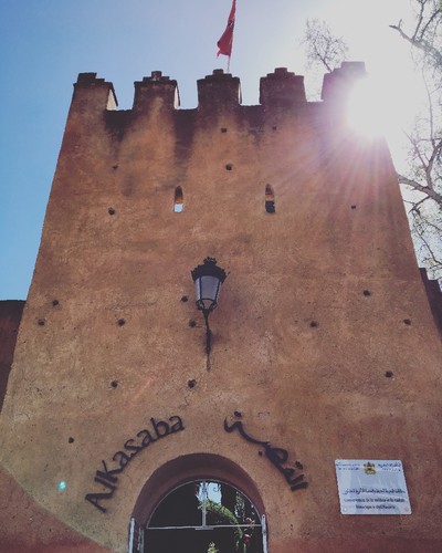 IMG_6585.JPG IMG_6585.JPG