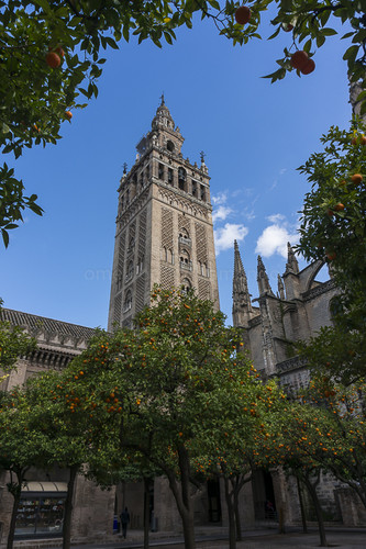 DSC02624.jpg DSC02624.jpg