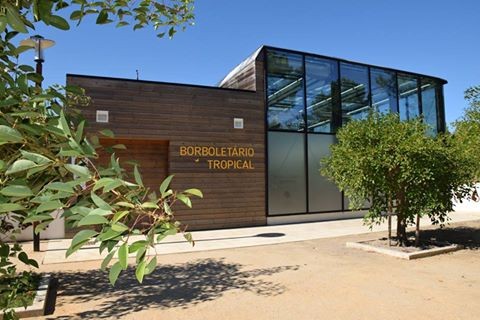 18813976_1565673000141943_376569655656603166_n.jpg 18813976_1565673000141943_376569655656603166_n.jpg