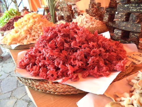 Reviver Braga 2015 021.JPG Reviver Braga 2015 021.JPG