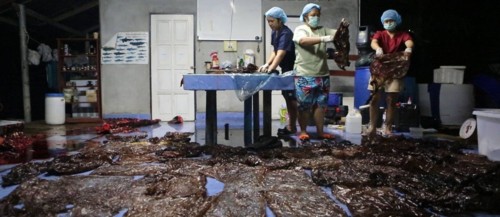 xTOPSHOT-THAILAND-PLASTIC-ENVIRONMENT-ANIMALS.jpg.