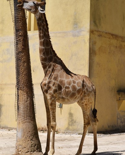 IMG_9538.PNG IMG_9538.PNG