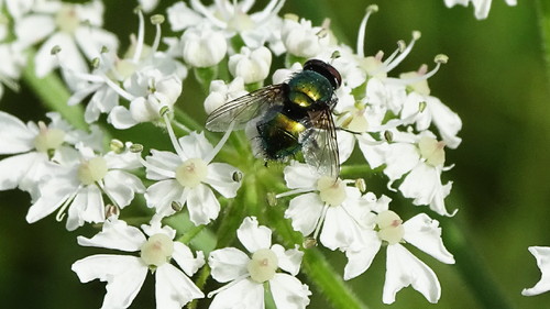 DSC03478.jpg DSC03478.jpg