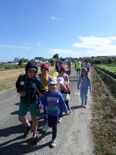 IMG_1429.JPG IMG_1429.JPG