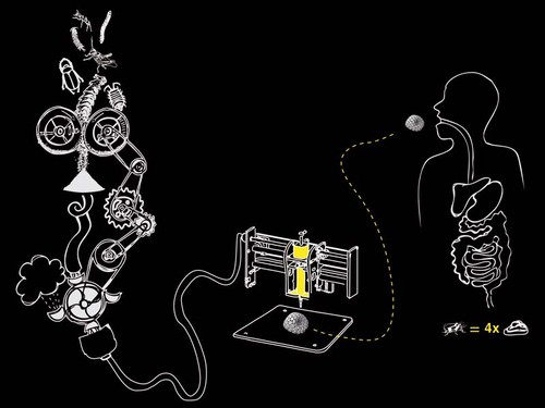 insects au gratin 3.jpg