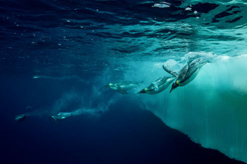 20112015-_DSC4778-77.jpg 20112015-_DSC4778-77.jpg