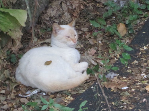 IMG_6182.JPG IMG_6182.JPG