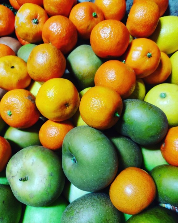 122701562_1851039105035842_1649954975219823852_o.j