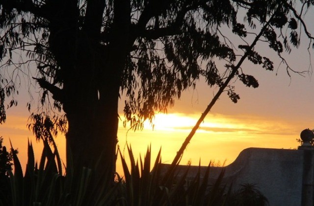 119103395_3223284384453511_3446062176319406356_n.j 119103395_3223284384453511_3446062176319406356_n.j