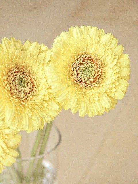 511267809_1270515361110981_2001683819076784394_n.j