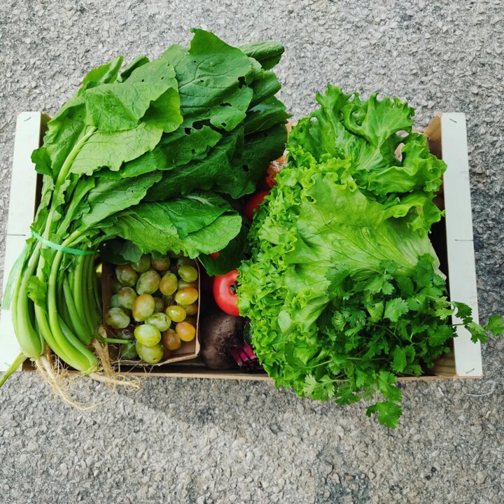 391718232_707345338089546_8519805779717290247_n.jp