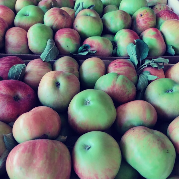 452178629_875028037987941_4847631435814624428_n.jp