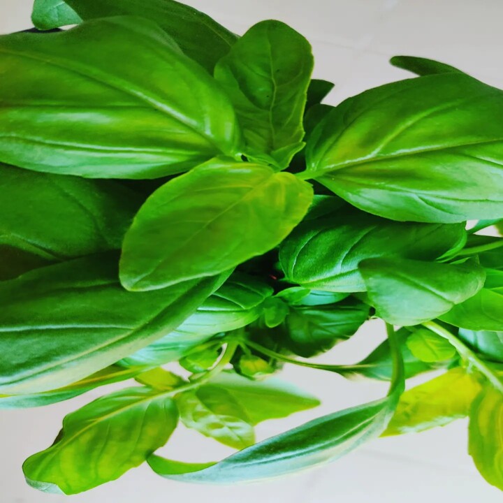 348288534_1010455333273873_407973801540685456_n.jp