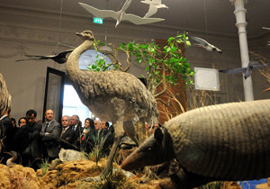 charles-darwin-expo.jpeg.crdownload