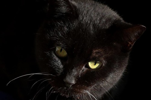 52823468_10161717584600311_913783313318019072_n.jp