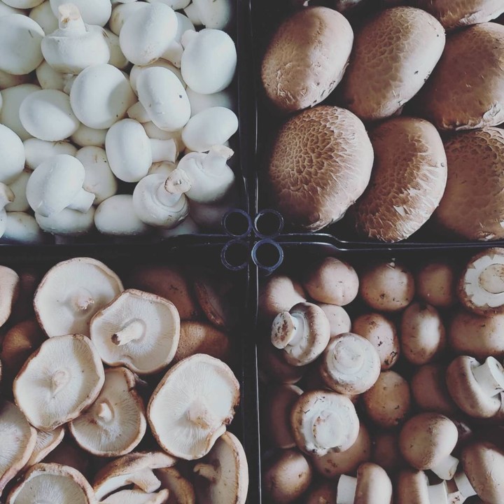 120093140_1822484737891279_1744358045268747127_o.j