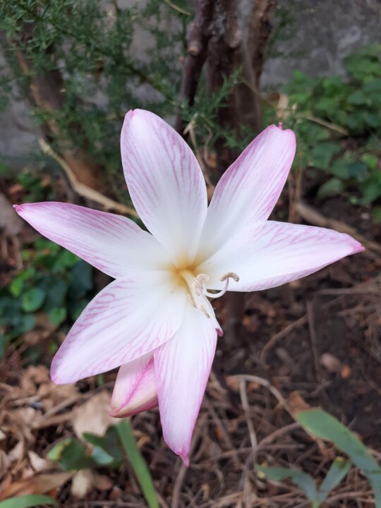 Despedidas de Verão. Foto original. 2022.08.30.jpg