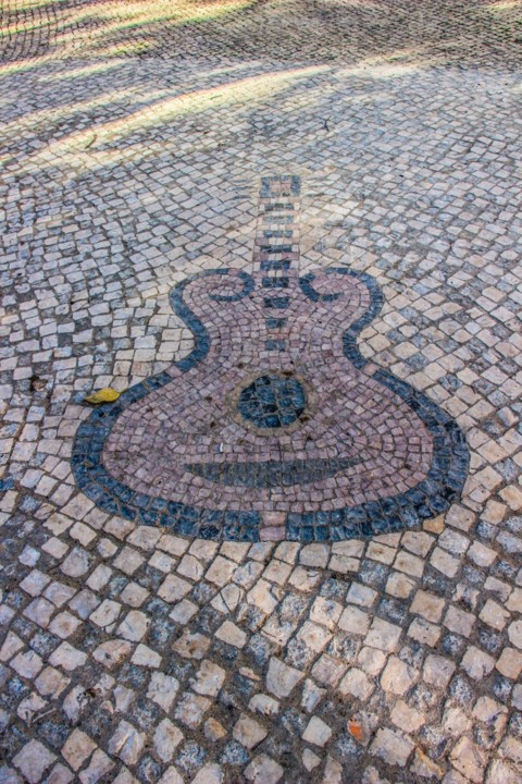 jardim cesario verde 7.jpg