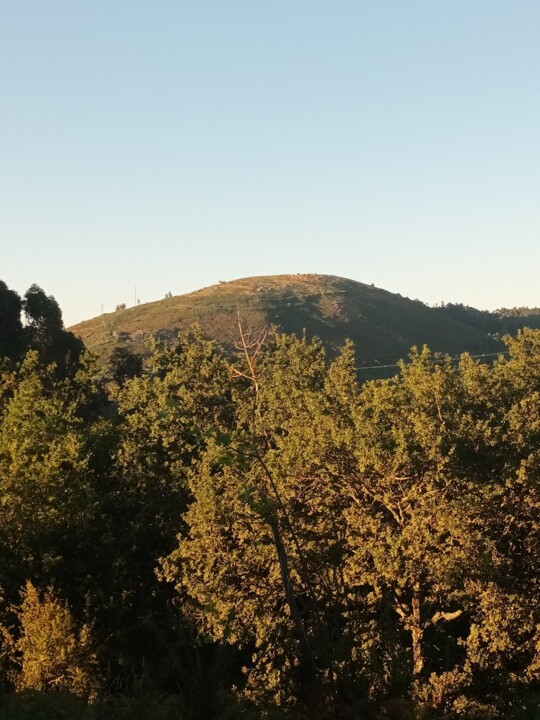 Não me canso disto_Afonsoaniv_9.jpg