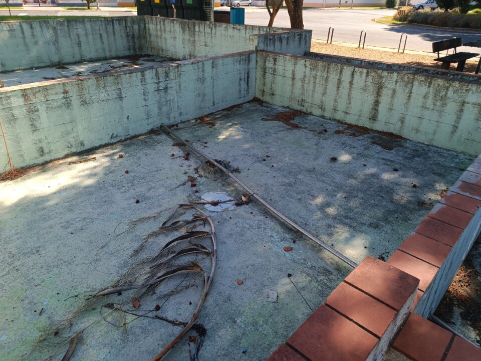 Lago do Jardim da Praceta António Aleixo (4).jpg