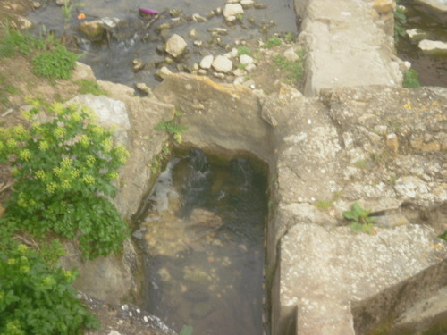 P2057256 - Cópia.JPG