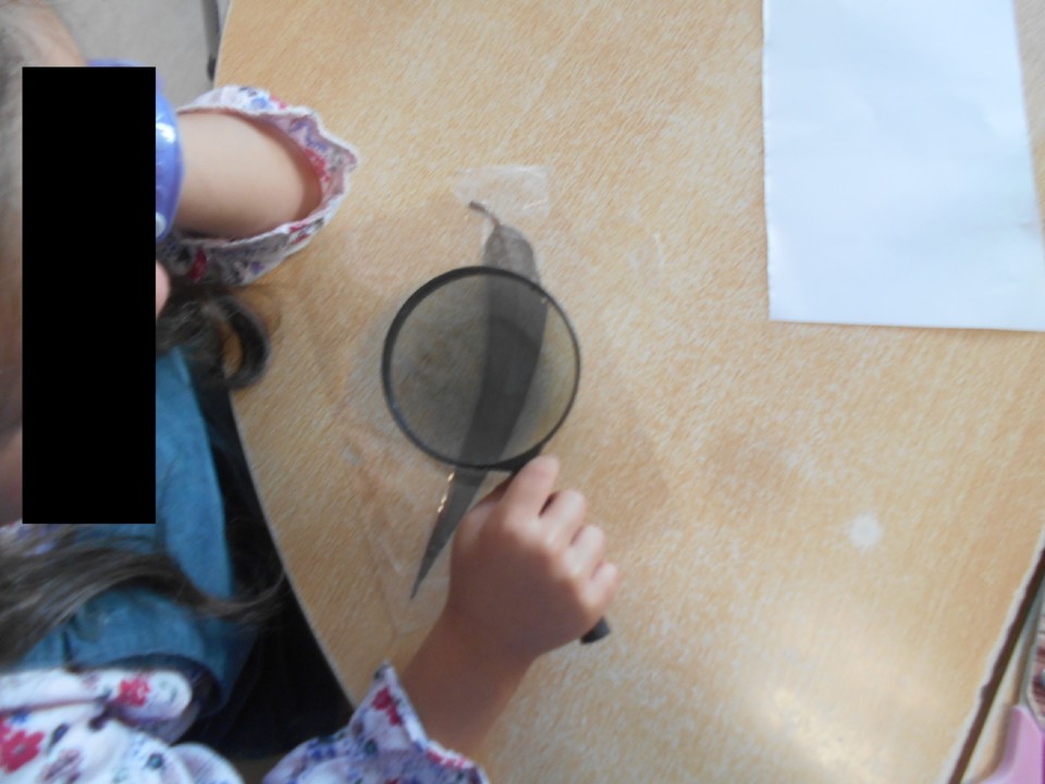 DSCN185111.jpg DSCN185111.jpg