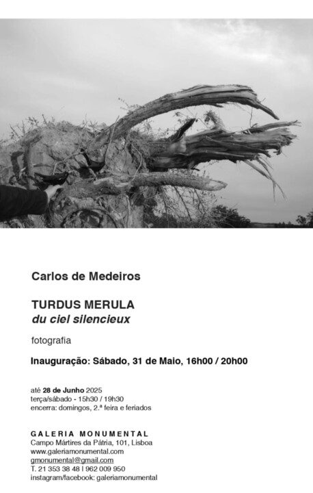 convite_turdus-merula_carlos-de-medeiros_galeria-m