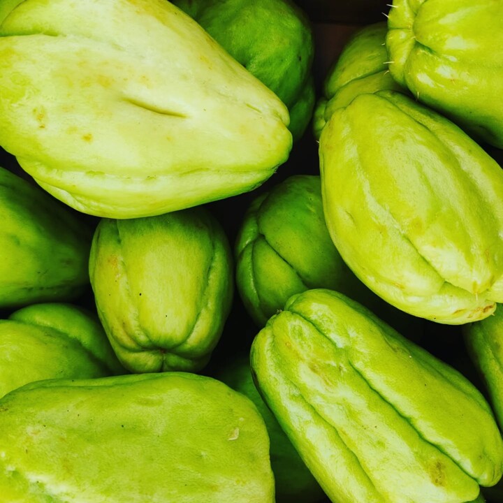 561955321_18504211534066958_5458245342815368299_n.