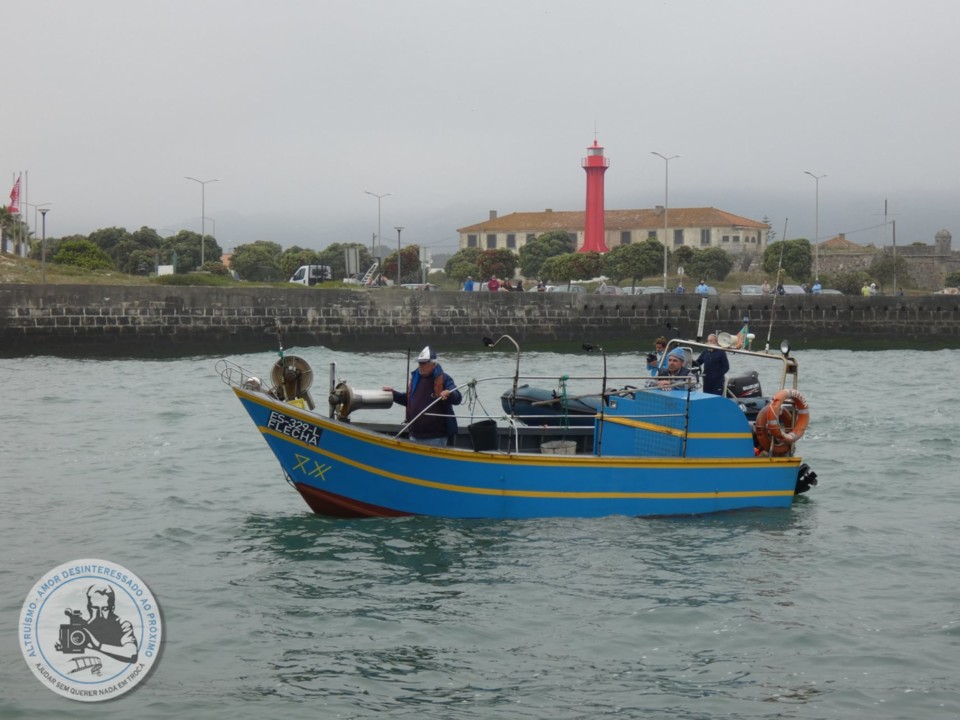 193183679_4256819861047717_3003284098729663179_n.j